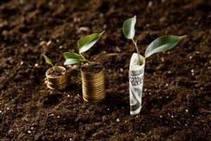 Simple plot investment shaping financial future